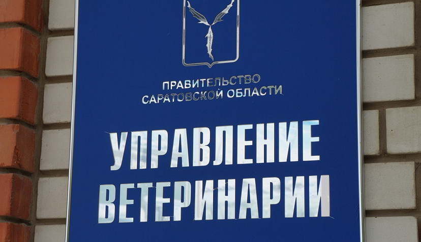 Саратовец не дал ветеринарам проверить скот на опасные заболевания