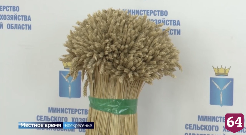 Похожую весну в Саратовской области наблюдали 75 лет назад 